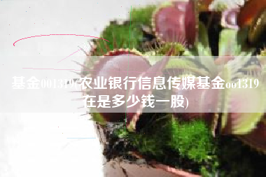 基金001319(农业银行信息传媒基金oo1319現在是多少钱一股)