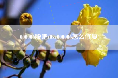 000006股吧(0xc000006怎么修复)