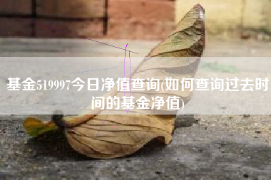 基金519997今日净值查询(如何查询过去时间的基金净值)