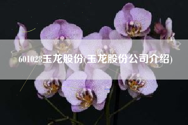 601028玉龙股份(玉龙股份公司介绍)