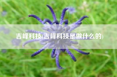 吉峰科技(吉峰科技是做什么的)
