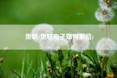 奥联(奥联电子如何索赔)