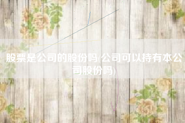 股票是公司的股份吗(公司可以持有本公司股份吗)