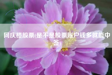 同庆楼股票(是不是股票账户钱多就能中签)