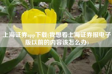 上海证券app下载(我想看上海证券报电子版以前的内容该怎么办)