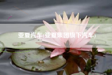 亚夏汽车(亚夏集团旗下汽车)