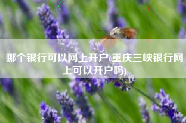 哪个银行可以网上开户(重庆三峡银行网上可以开户吗)