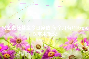 兴全责任基金今日净值(每个月有1500元可以拿来投资)
