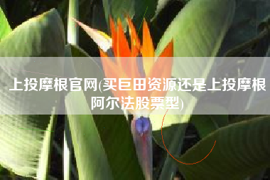 上投摩根官网(买巨田资源还是上投摩根阿尔法股票型)