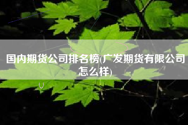 国内期货公司排名榜(广发期货有限公司怎么样)