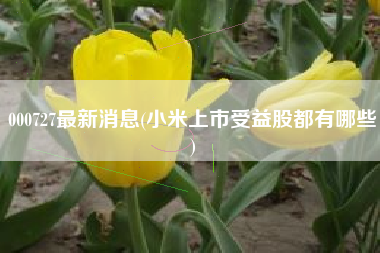 000727最新消息(小米上市受益股都有哪些)