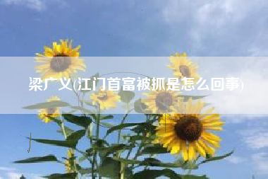 梁广义(江门首富被抓是怎么回事)