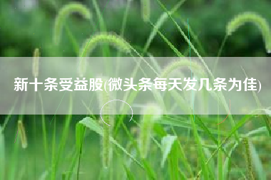 新十条受益股(微头条每天发几条为佳)
