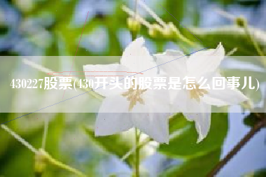 430227股票(430开头的股票是怎么回事儿)