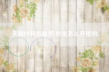 天赐材料市盈率(你是怎么开悟的)