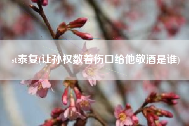 st泰复(让孙权数着伤口给他敬酒是谁)