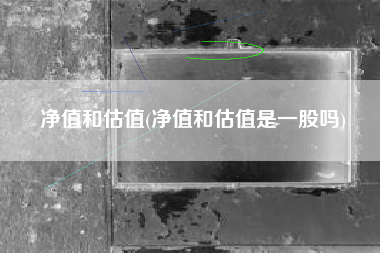 净值和估值(净值和估值是一股吗)