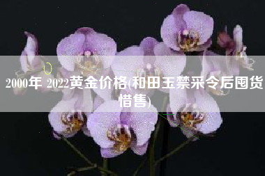 2000年 2022黄金价格(和田玉禁采令后囤货惜售)