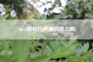 50etf期权开户(期权怎么做)