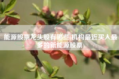 能源股票龙头股有哪些(机构最近买入最多的新能源股票)