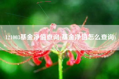 121003基金净值查询(基金净值怎么查询)
