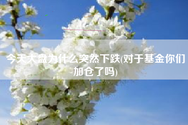 今天大盘为什么突然下跌(对于基金你们加仓了吗)