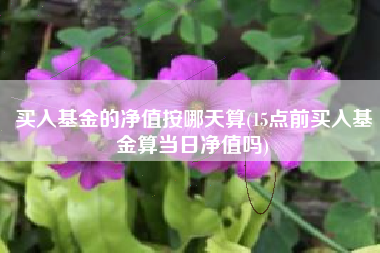 买入基金的净值按哪天算(15点前买入基金算当日净值吗)