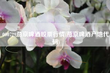 000729燕京啤酒股票行情(燕京啤酒产地代码)