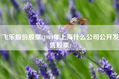 飞乐股份股票(1984年上海什么公司公开发售股票)