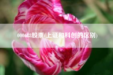 000688股票(上证和科创的区别)
