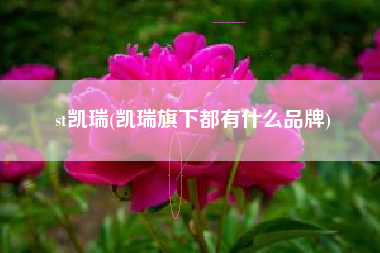 st凯瑞(凯瑞旗下都有什么品牌)