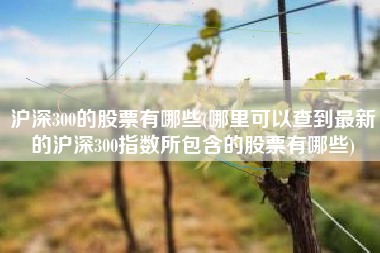 沪深300的股票有哪些(哪里可以查到最新的沪深300指数所包含的股票有哪些)