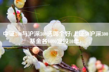 中证100与沪深300选哪个好(上证50沪深300基金各1000定投10年)