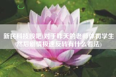新民科技股吧(对于昨天的老师体罚学生然后剧情极速反转有什么看法)