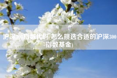 沪深300指数代码(怎么挑选合适的沪深300指数基金)
