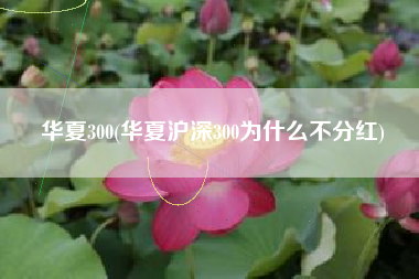 华夏300(华夏沪深300为什么不分红)