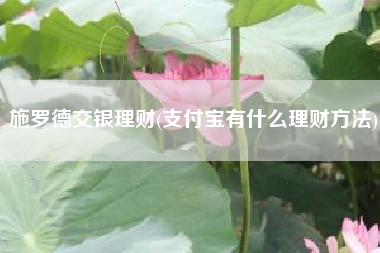 施罗德交银理财(支付宝有什么理财方法)