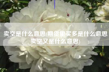 卖空是什么意思(期货里买多是什么意思卖空又是什么意思)