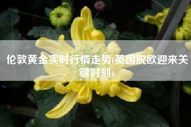 伦敦黄金实时行情走势(英国脱欧迎来关键时刻)