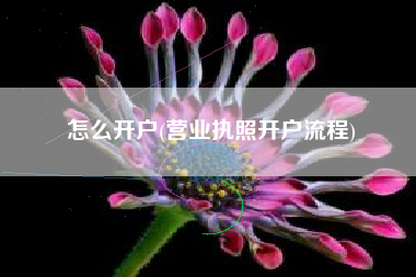 怎么开户(营业执照开户流程)