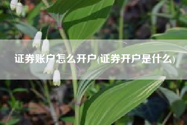 证券账户怎么开户(证券开户是什么)