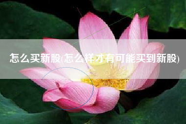 怎么买新股(怎么样才有可能买到新股)