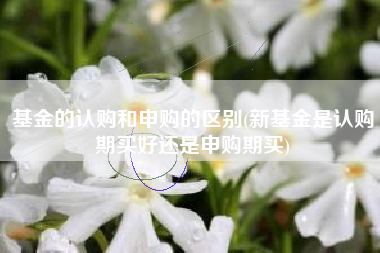基金的认购和申购的区别(新基金是认购期买好还是申购期买)
