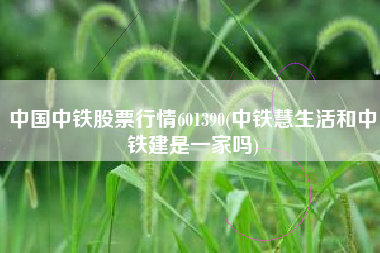 中国中铁股票行情601390(中铁慧生活和中铁建是一家吗)