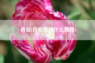 行业(行业表述什么意思)