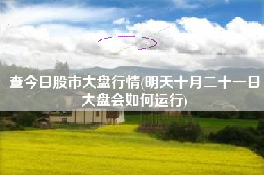 查今日股市大盘行情(明天十月二十一日大盘会如何运行)
