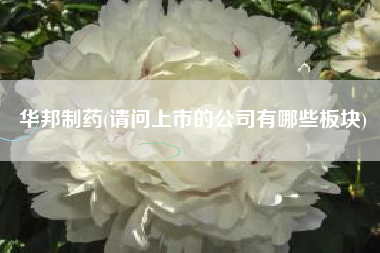 华邦制药(请问上市的公司有哪些板块)