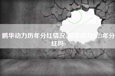 鹏华动力历年分红情况(鹏华动力2023年分红吗)