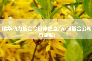 鹏华动力基金今日净值查询(a股基金公司有哪些)