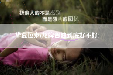 华夏恒泰(龙牌酱油到底好不好)